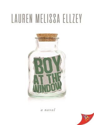 cover image of Boy at the Window